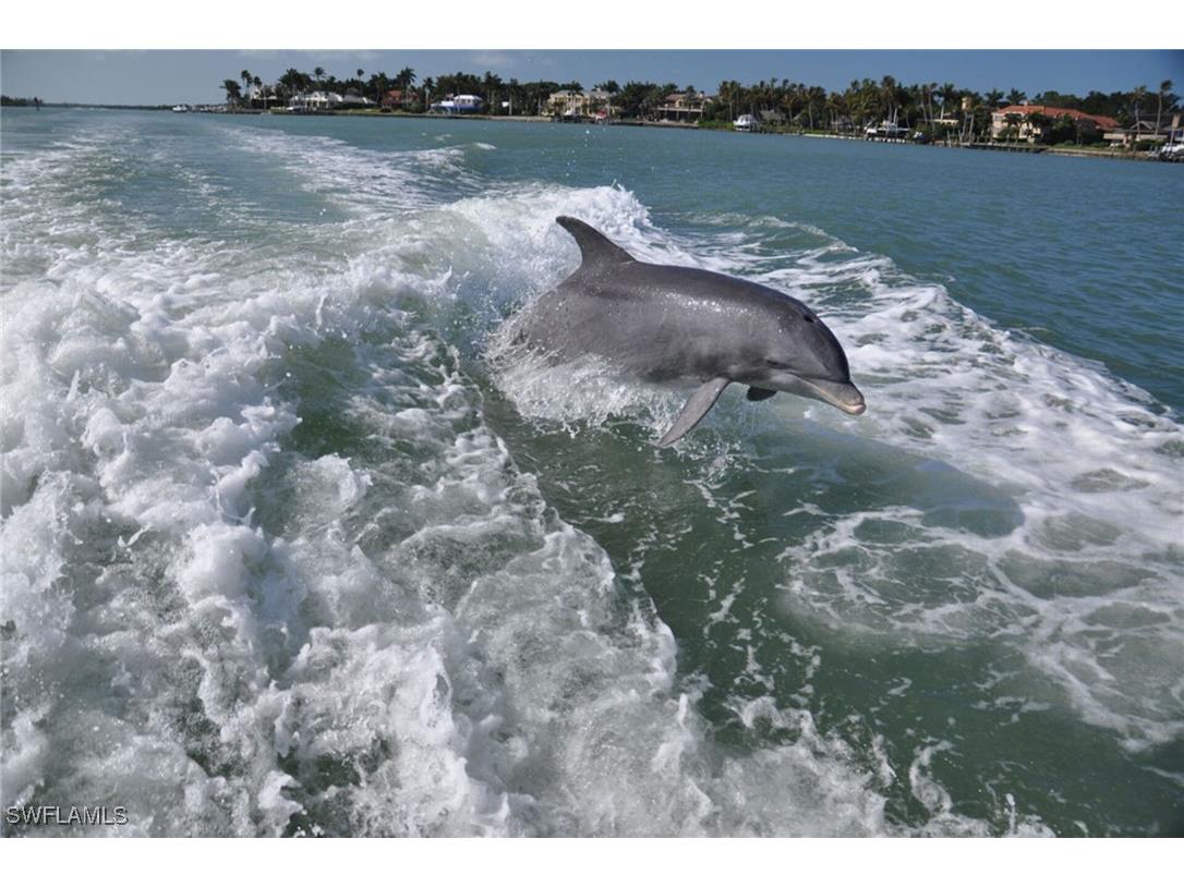 274 Stella Maris Drive S Naples FL 34114 225027567 image37