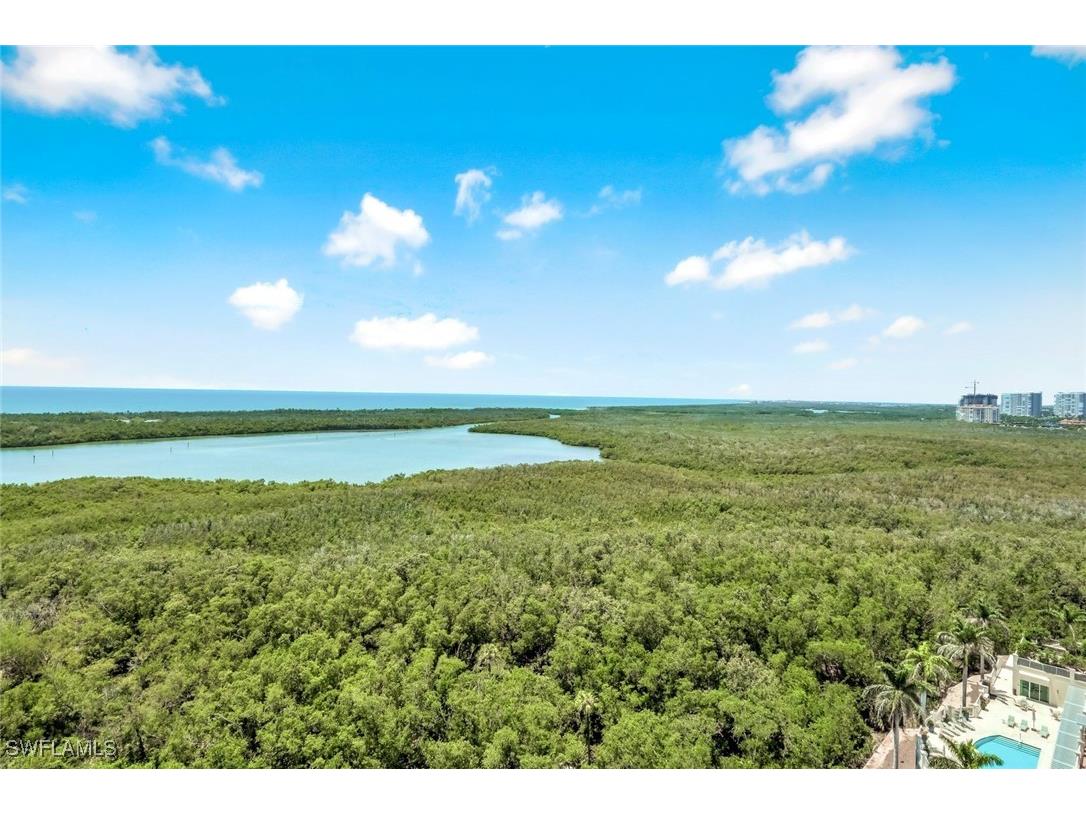 275 Indies Way #1603 Naples FL 34110 225050071 image26