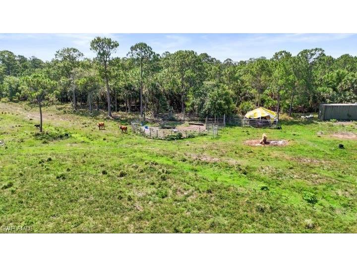 2777 Everhigh Acres Road Clewiston FL 33440 225049075 image5