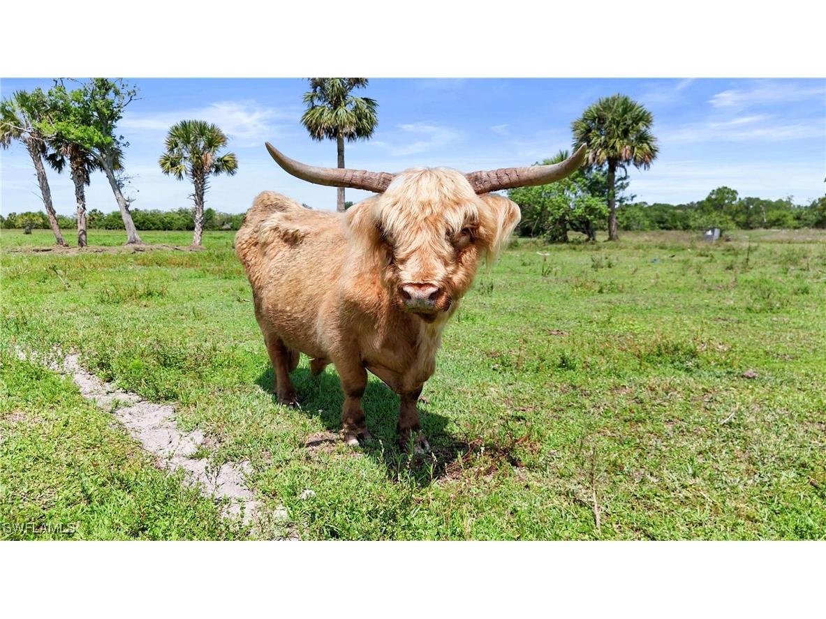 2777 Everhigh Acres Road Clewiston FL 33440 225049075 image6