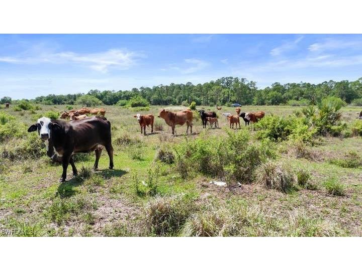 2777 Everhigh Acres Road Clewiston FL 33440 225049075 image7