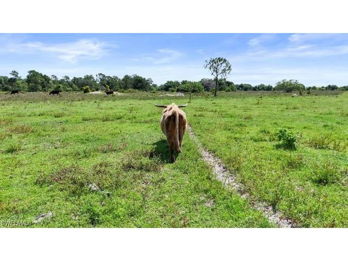 2777 Everhigh Acres Road Clewiston FL 33440 225049075 image8