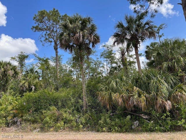 27XX 18th Avenue NE Naples FL 34120 225050445 image1