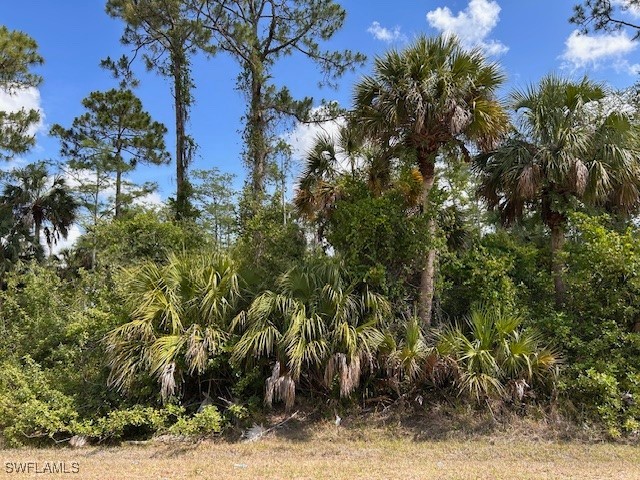 27XX 18th Avenue NE Naples FL 34120 225050445 image4