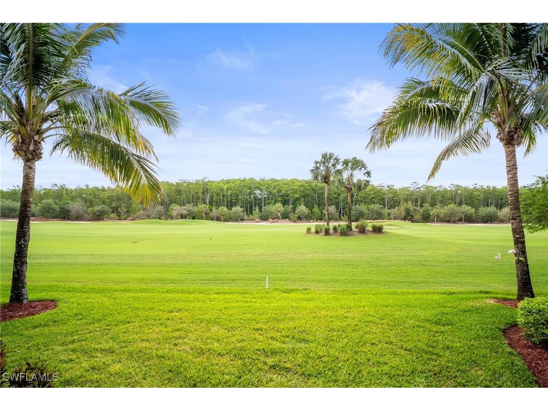 28011 Bridgetown Court #5216 Bonita Springs FL 34135 225044712 image36