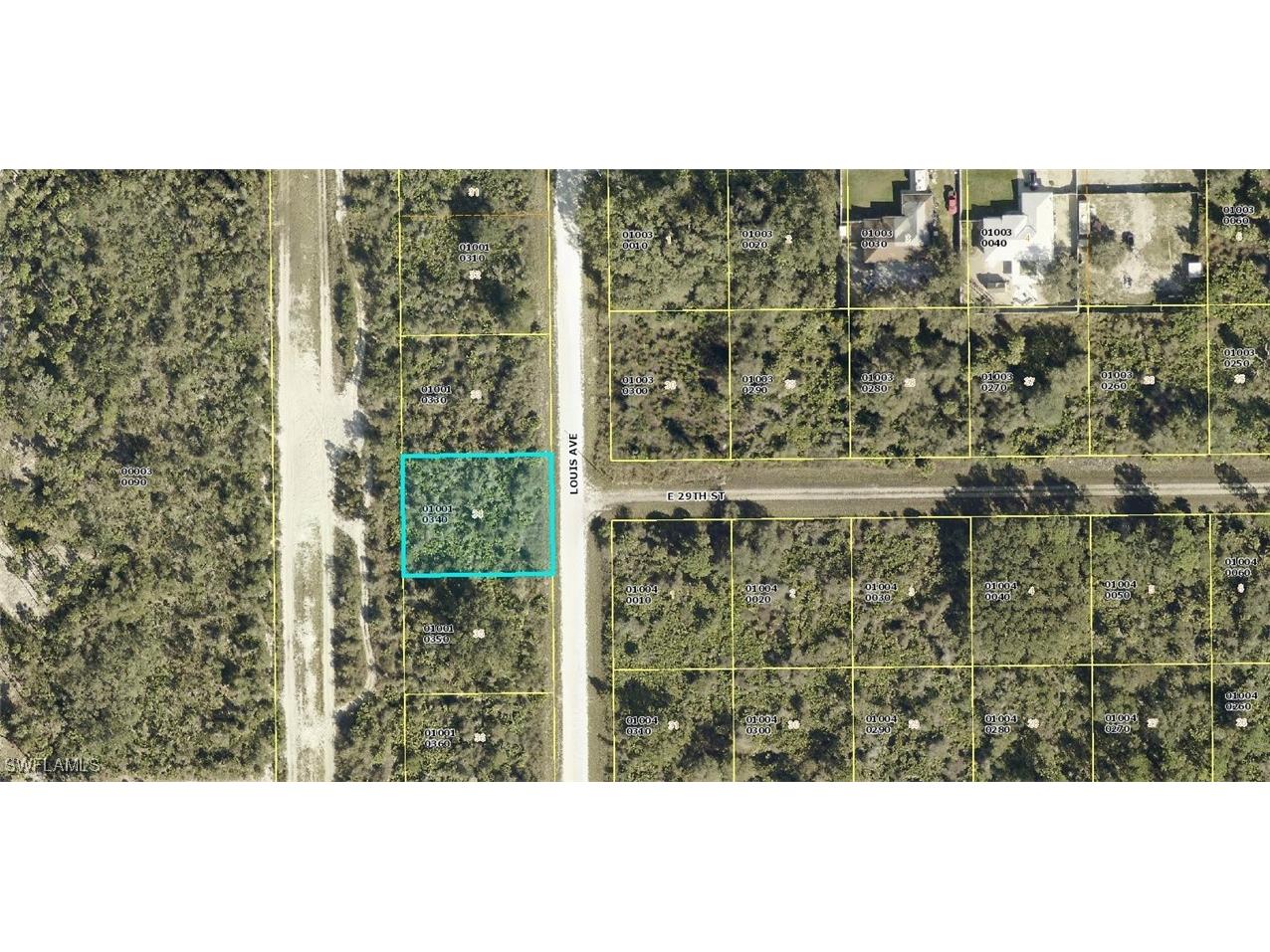 2805 Louis Avenue Alva FL 33920 225022666 image1