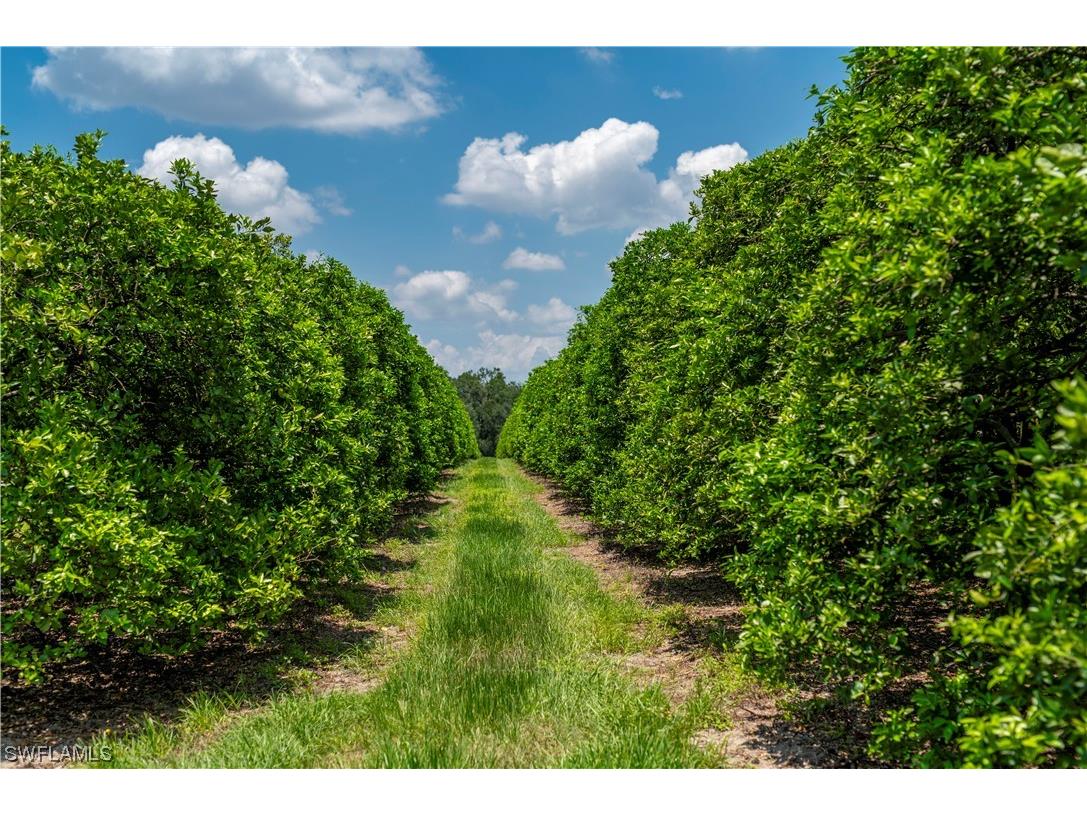 28100 45th Avenue E Myakka City FL 34251 223050388 image1