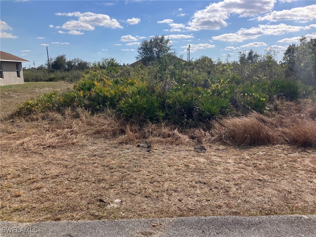 2817 72nd Street W Lehigh Acres FL 33971 225010145 image1