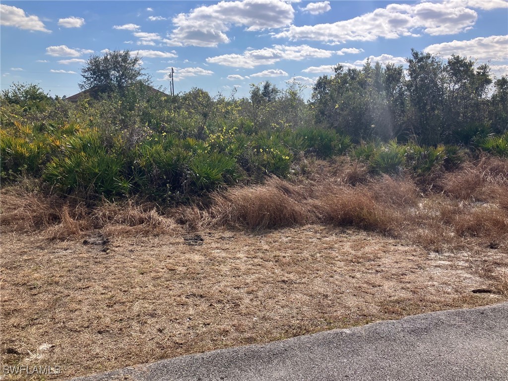 2817 72nd Street W Lehigh Acres FL 33971 225010145 image2