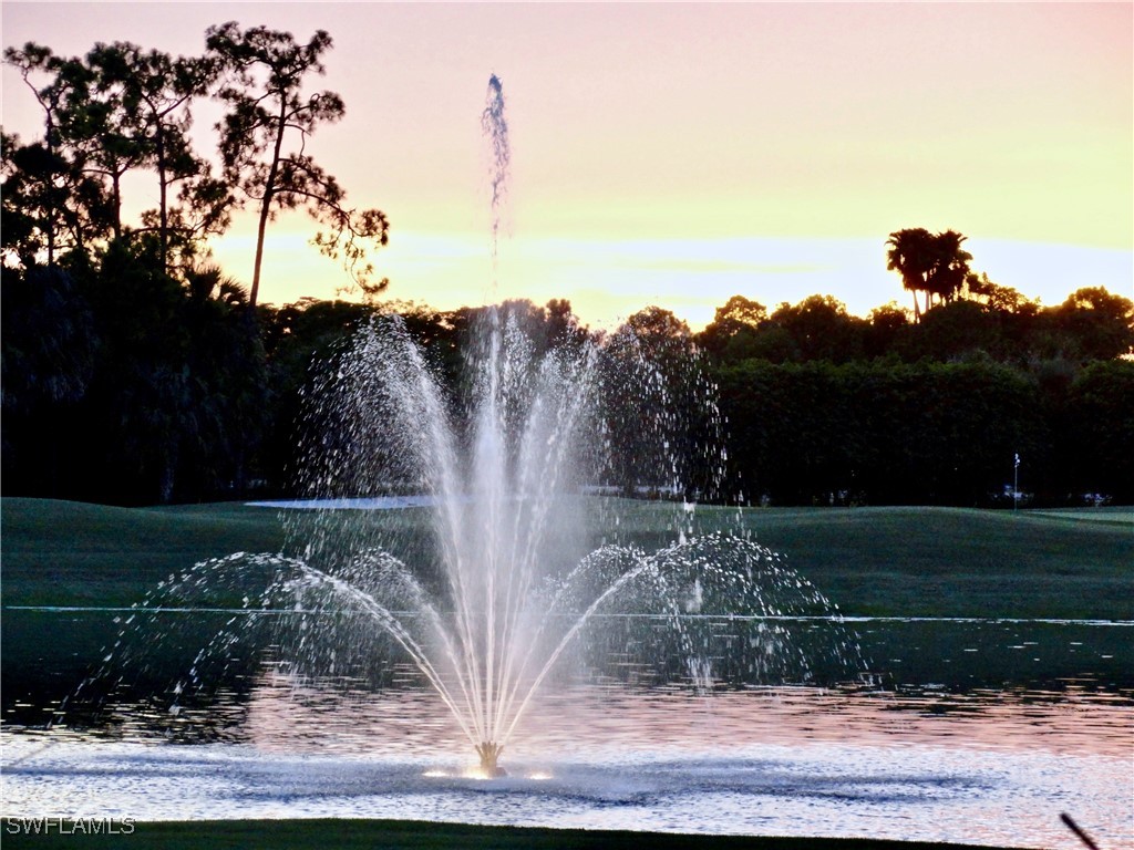 28171 L Burton Fletcher Court Bonita Springs FL 34135 225049091 image30