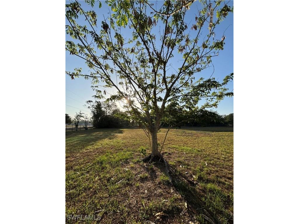 284 Avenida Del Clewiston FL 33440 225036966 image9