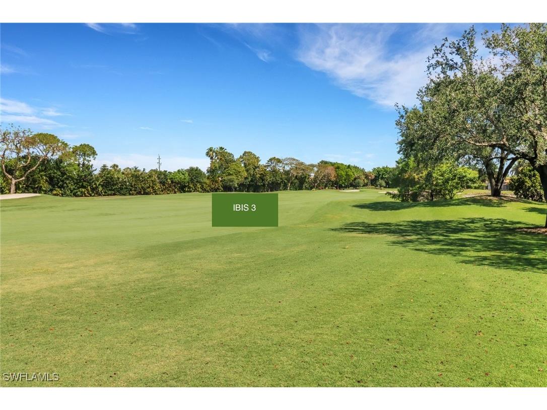 28404 Via Odanti Drive Bonita Springs FL 34135 225043745 image43