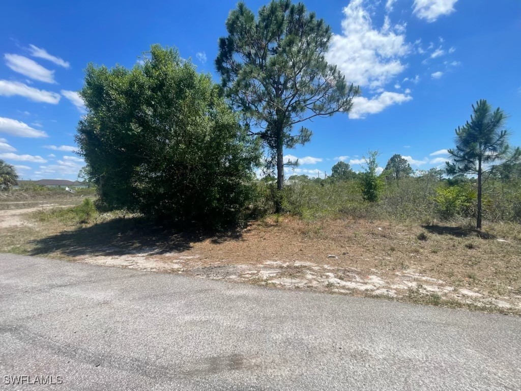 2901 55th Street W Lehigh Acres FL 33971 225047136 image4