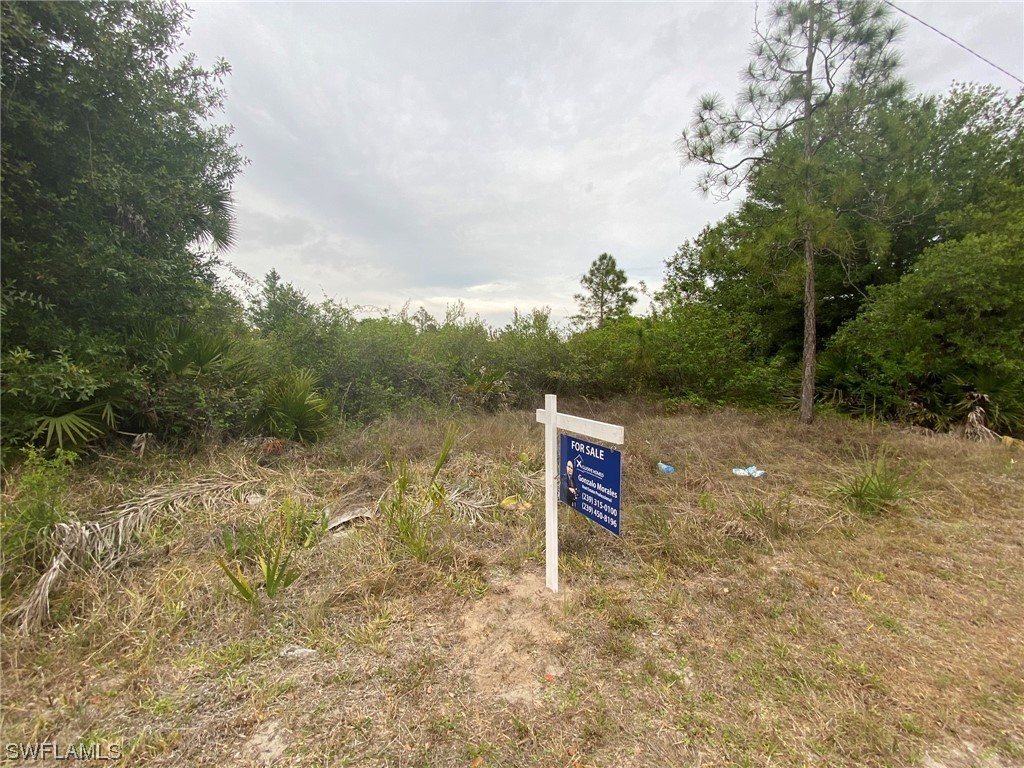 2905 E 13th Street Lehigh Acres FL 33972 222031459 image1