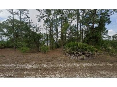 2907 E 9th Street Lehigh Acres FL 33972 225037765 image1