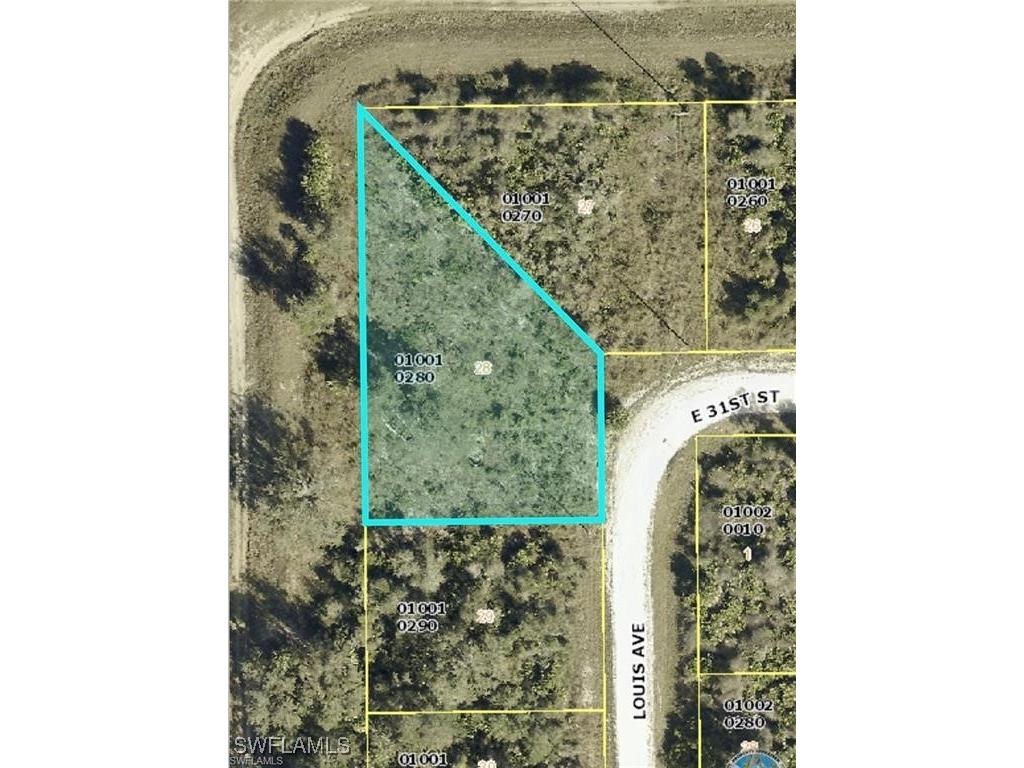 3005 Louis Avenue Alva FL 33920 225054572 image1