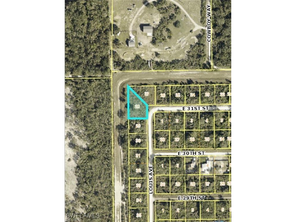 3005 Louis Avenue Alva FL 33920 225054572 image3