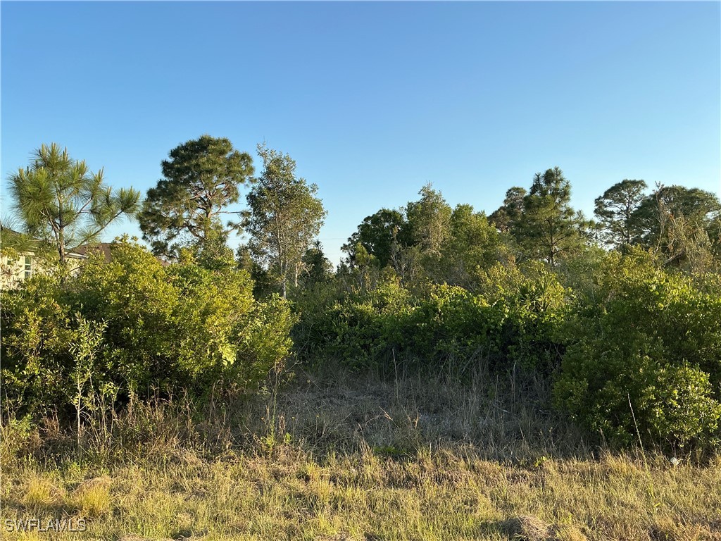 3009 42nd Street W Lehigh Acres FL 33971 225043356 image1