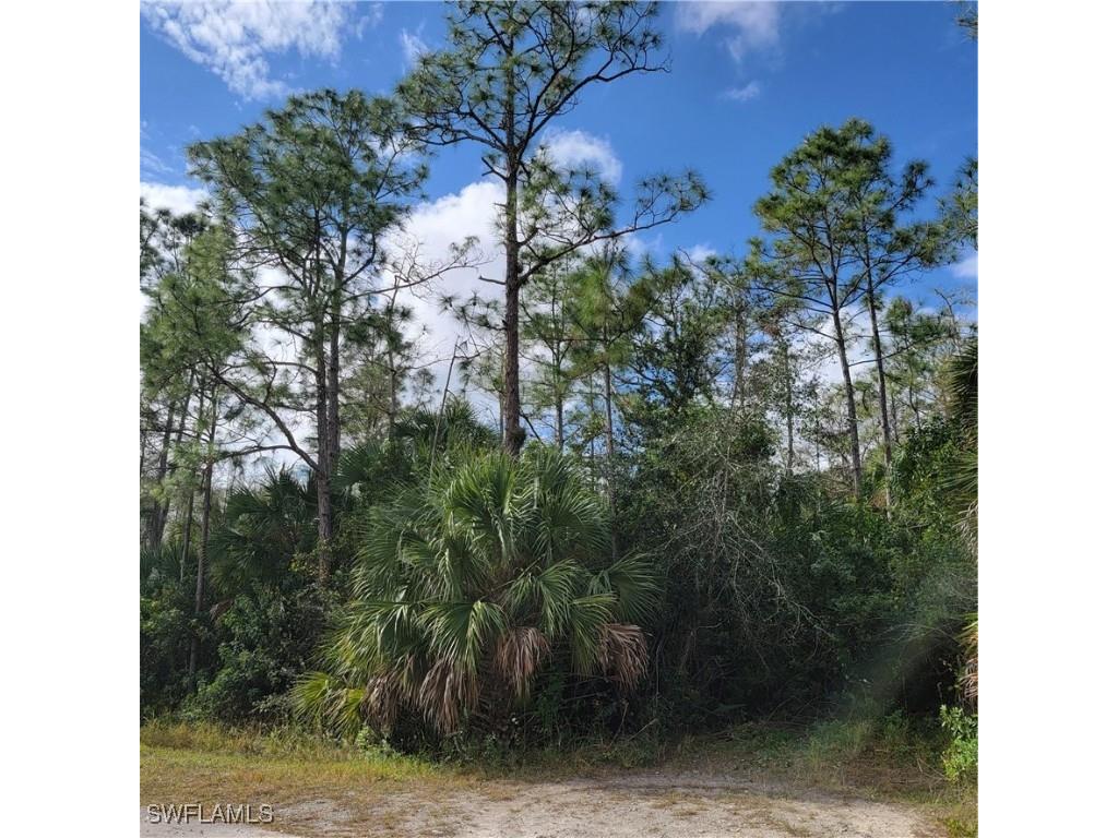 3011 2nd Street NE Naples FL 34120 225045013 image3