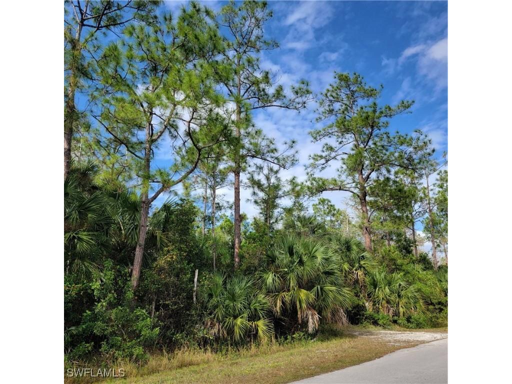 3011 2nd Street NE Naples FL 34120 225045013 image7