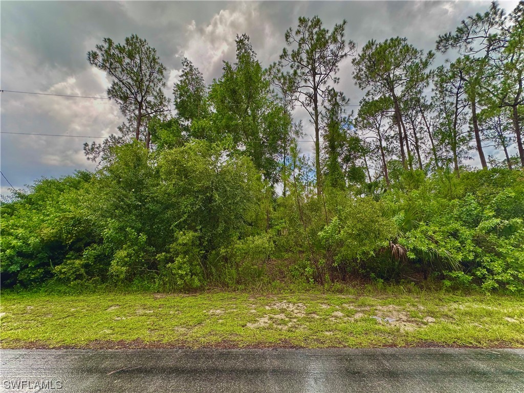 303 Johanna Avenue Lehigh Acres FL 33972 223051367 image1