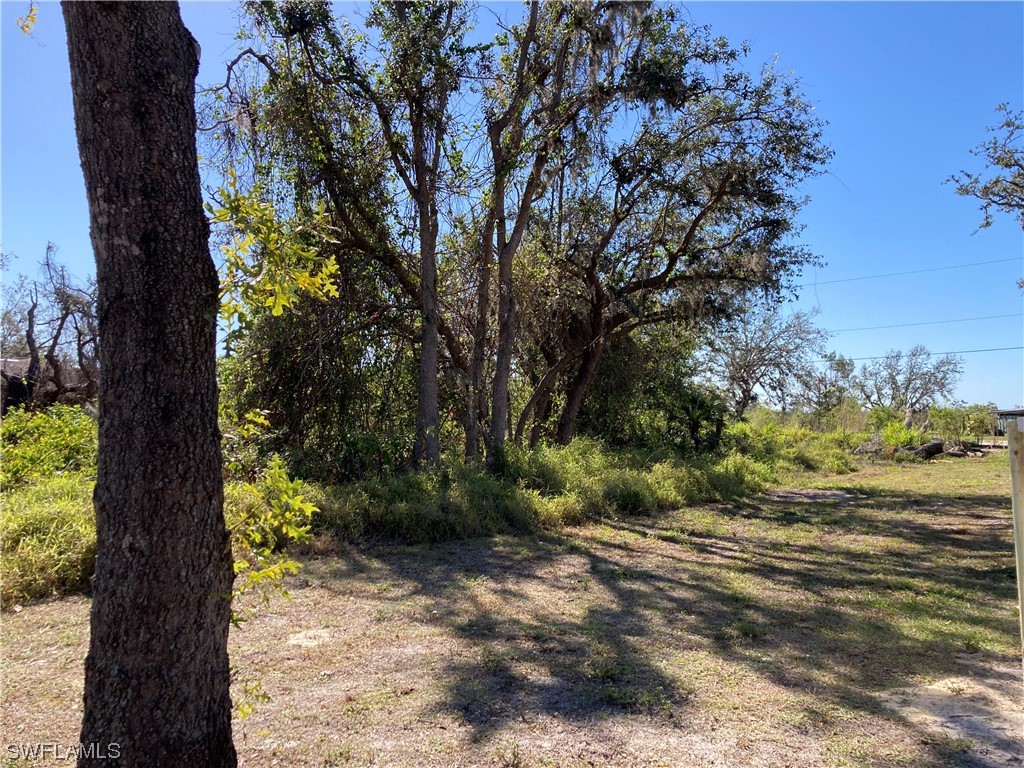 30445 Holly Road Punta Gorda FL 33982 223009821 image8