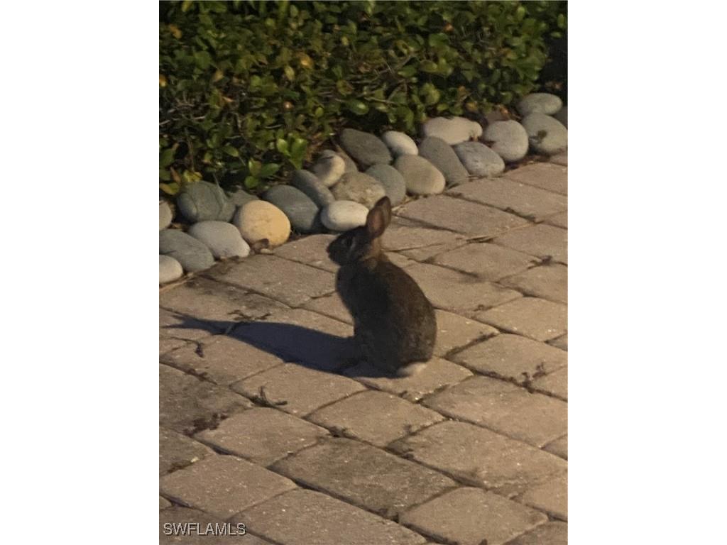 306 Emerald Bay Circle #J5 Naples FL 34110 225015724 image6