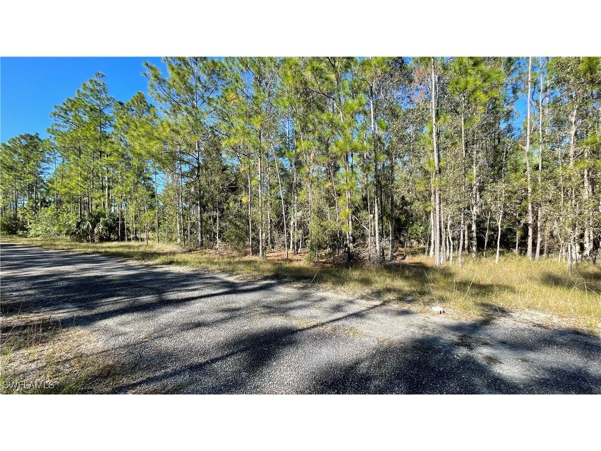 308 Rosanna Avenue Lehigh Acres FL 33972 225054220 image13