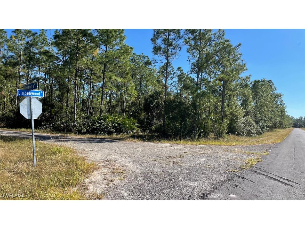 308 Rosanna Avenue Lehigh Acres FL 33972 225054220 image7