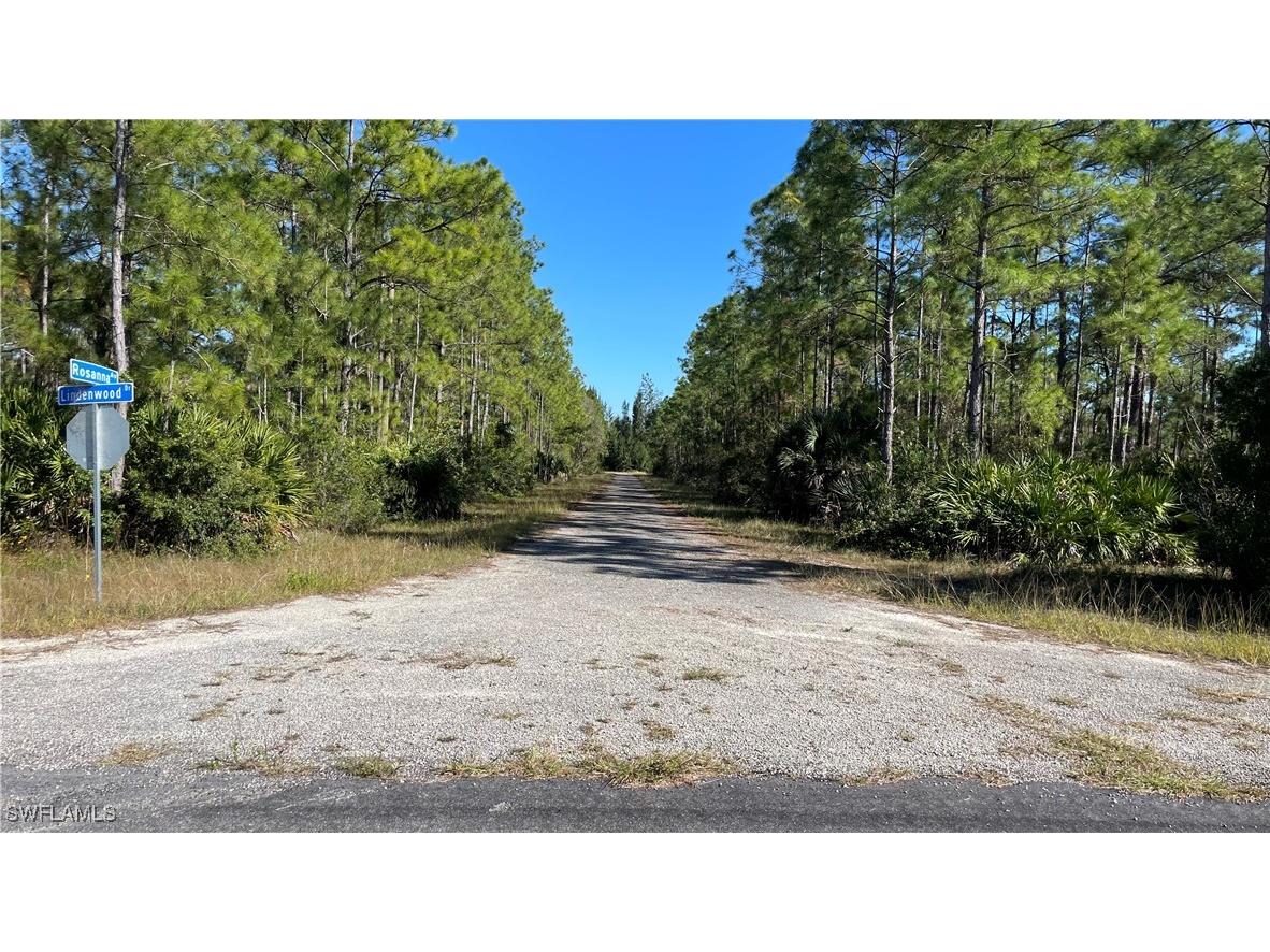 308 Rosanna Avenue Lehigh Acres FL 33972 225054220 image8