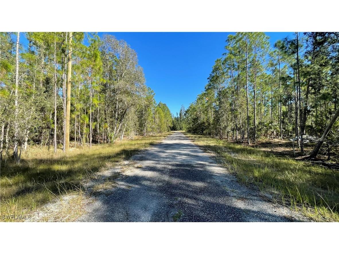 308 Rosanna Avenue Lehigh Acres FL 33972 225054220 image9