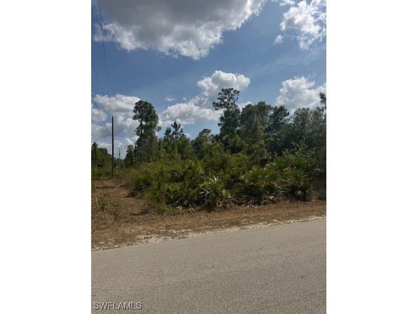 3102 E 10th Street Lehigh Acres FL 33972 225045754 image3