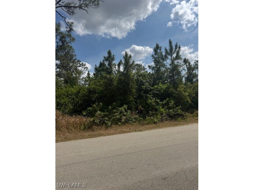 3102 E 10th Street Lehigh Acres FL 33972 225045754 image4