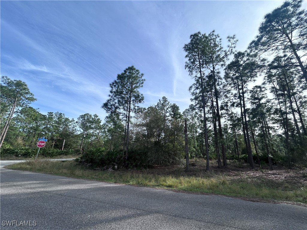 3106 E 13th Street Lehigh Acres FL 33972 224104449 image4