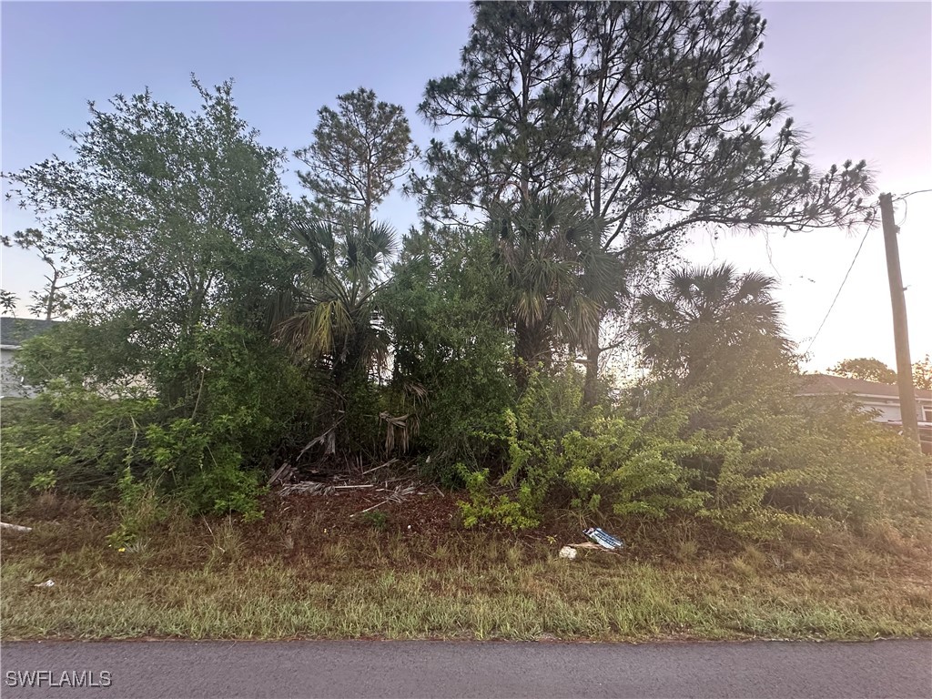 3108 40th Street W Lehigh Acres FL 33971 225046069 image1
