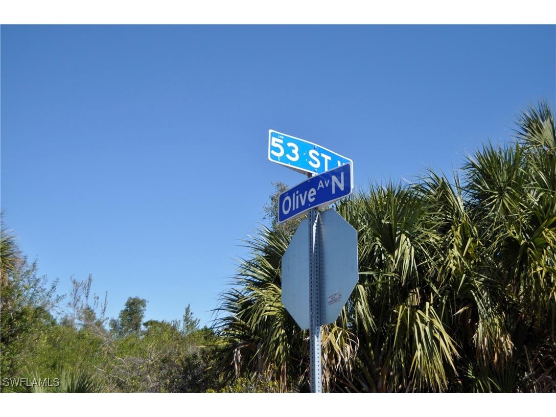 3115 53rd Street W Lehigh Acres FL 33971 225004356 image9