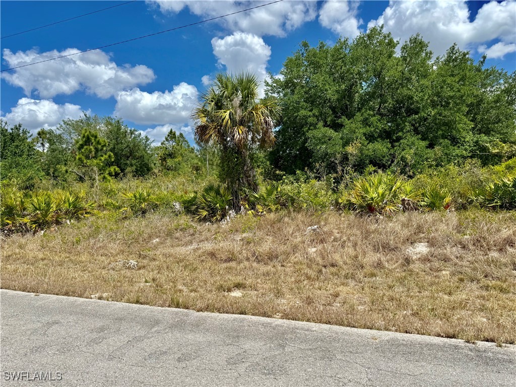 314 Wells Avenue Lehigh Acres FL 33936 225032407 image1