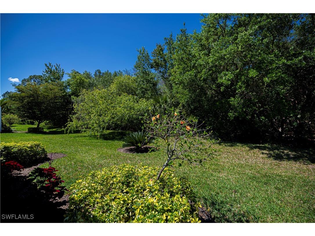 3145 Apple Blossom Drive Alva FL 33920 224081952 image41