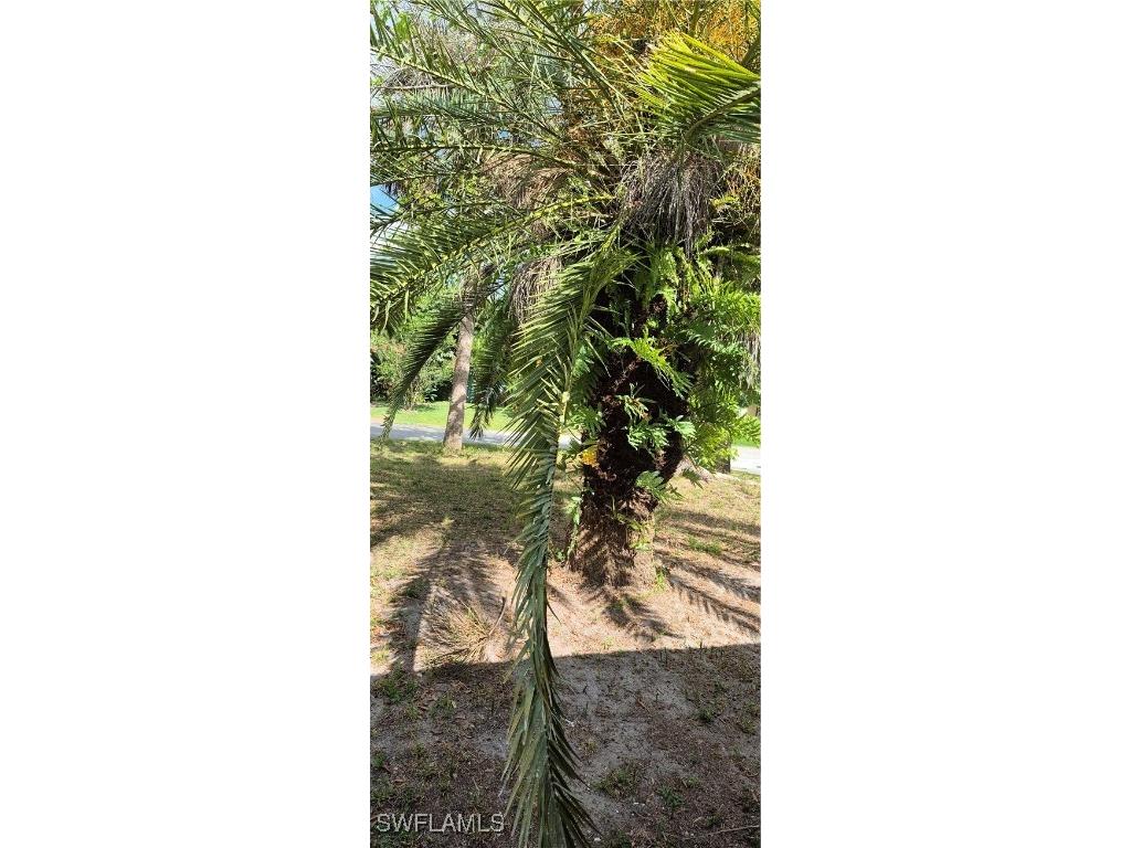 315 Cleveland Avenue Lehigh Acres FL 33936 225044083 image41