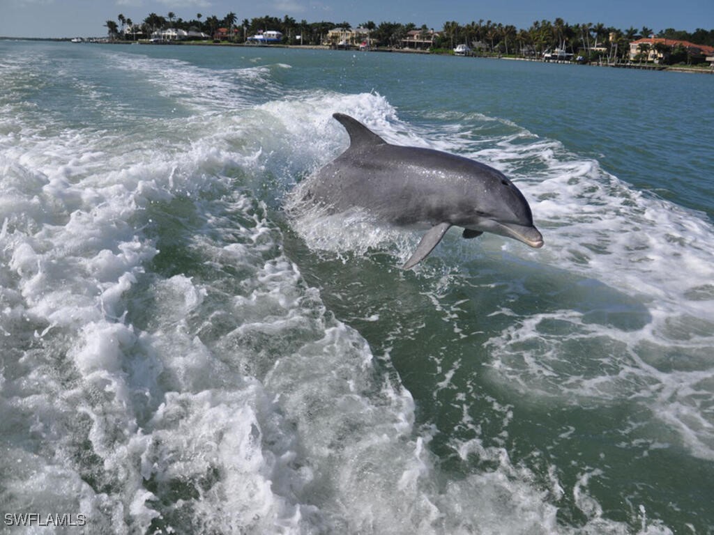 317 Stella Maris Drive S Naples FL 34114 225018873 image46