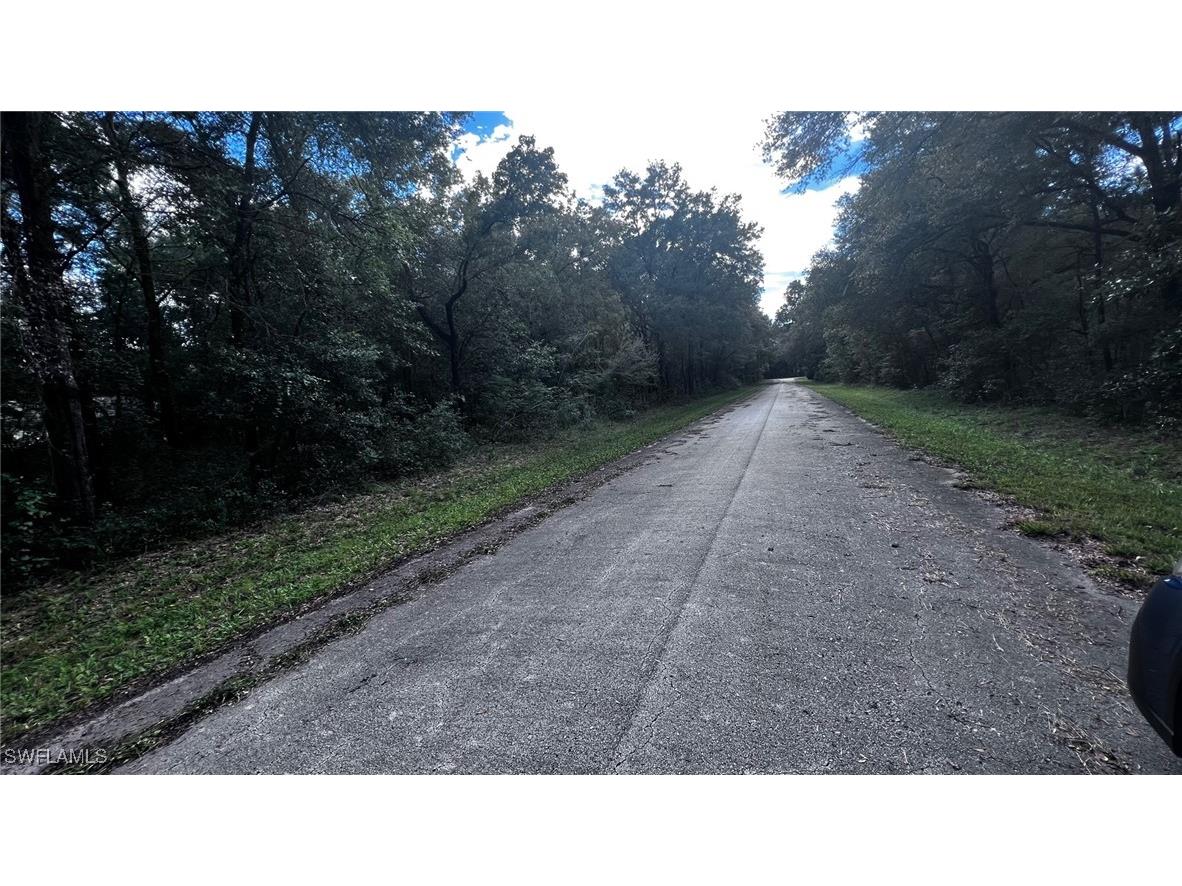 3176 E John Lane Inverness FL 34453 224096360 image8