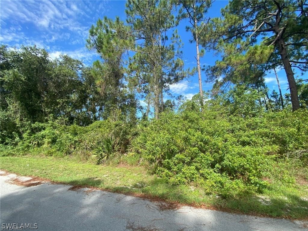 320 Mangonia Avenue Lehigh Acres FL 33974 223000466 image1