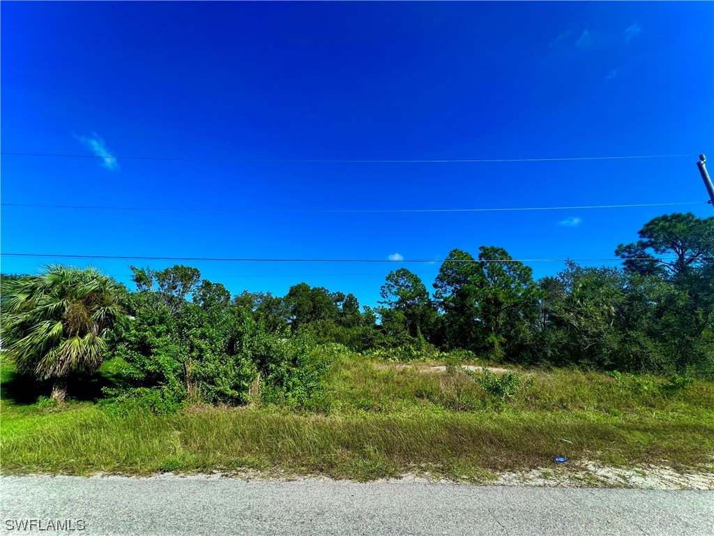 3206 2nd Street W Lehigh Acres FL 33971 223079273 image1