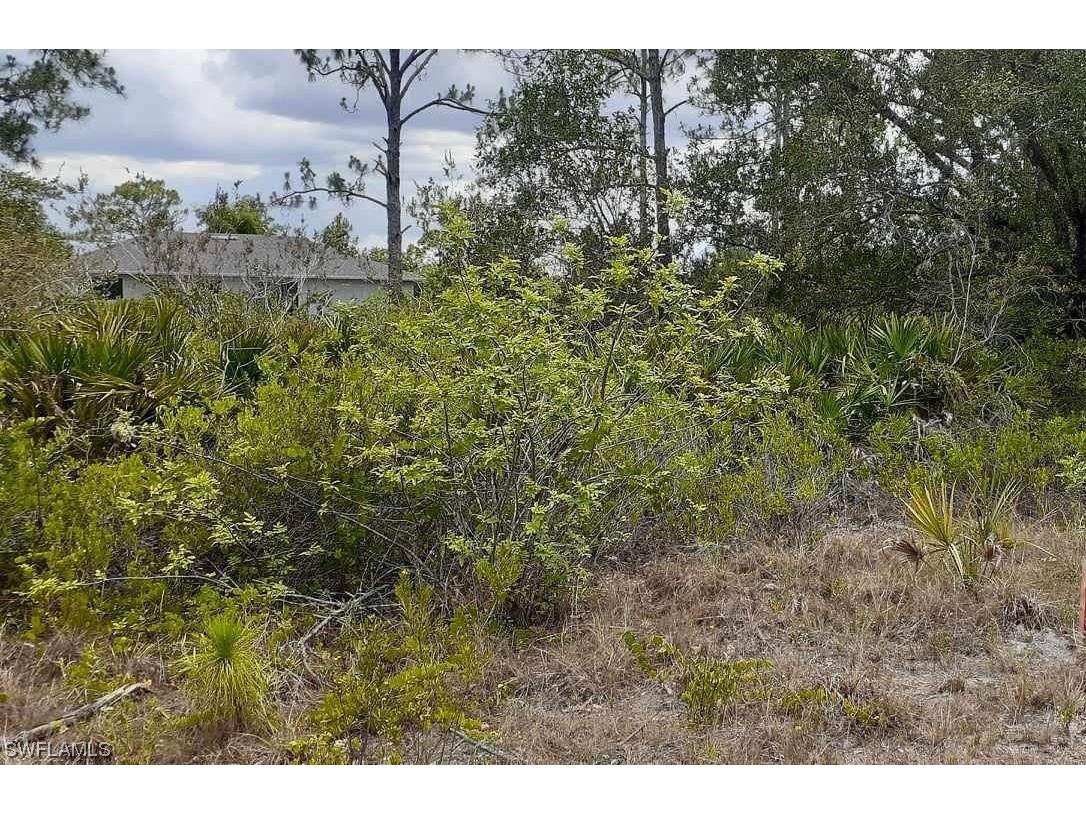 3213 45th Street W Lehigh Acres FL 33971 224003875 image1