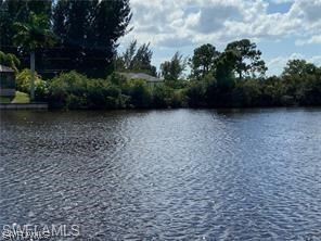 3218 NW 23rd Street Cape Coral FL 33993 223064757 image3