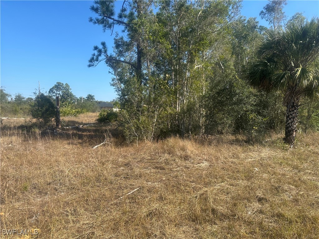 3232 Ruth Lane Lehigh Acres FL 33976 225004718 image2