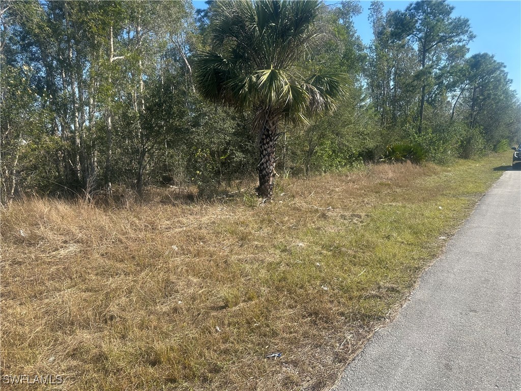 3232 Ruth Lane Lehigh Acres FL 33976 225004718 image3