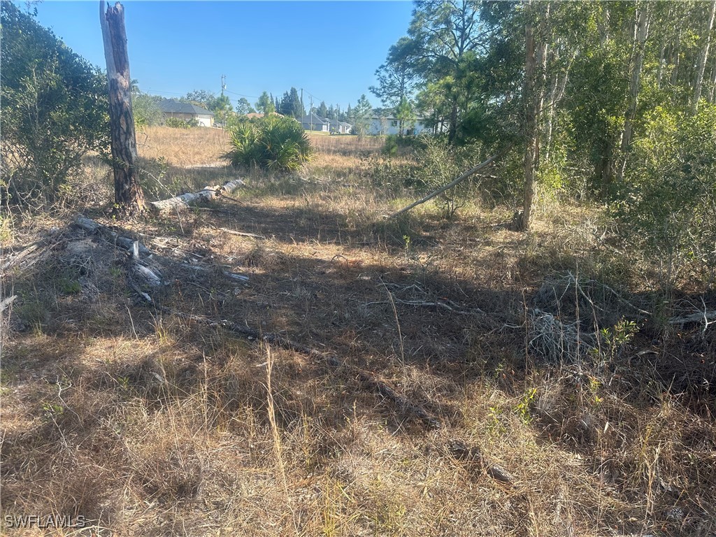 3232 Ruth Lane Lehigh Acres FL 33976 225004718 image4