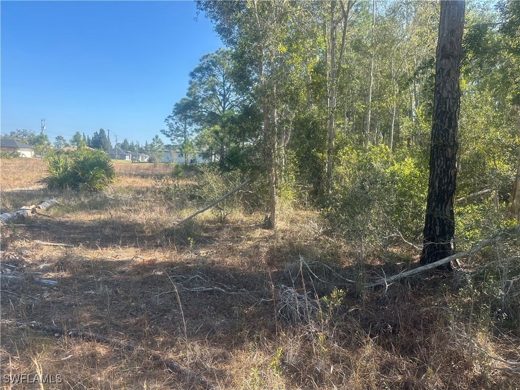 3232 Ruth Lane Lehigh Acres FL 33976 225004718 image5