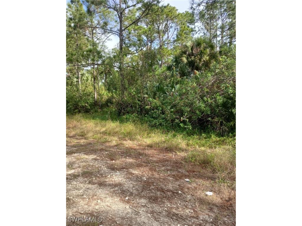 3302 Laura Avenue N Lehigh Acres FL 33971 224101278 image1